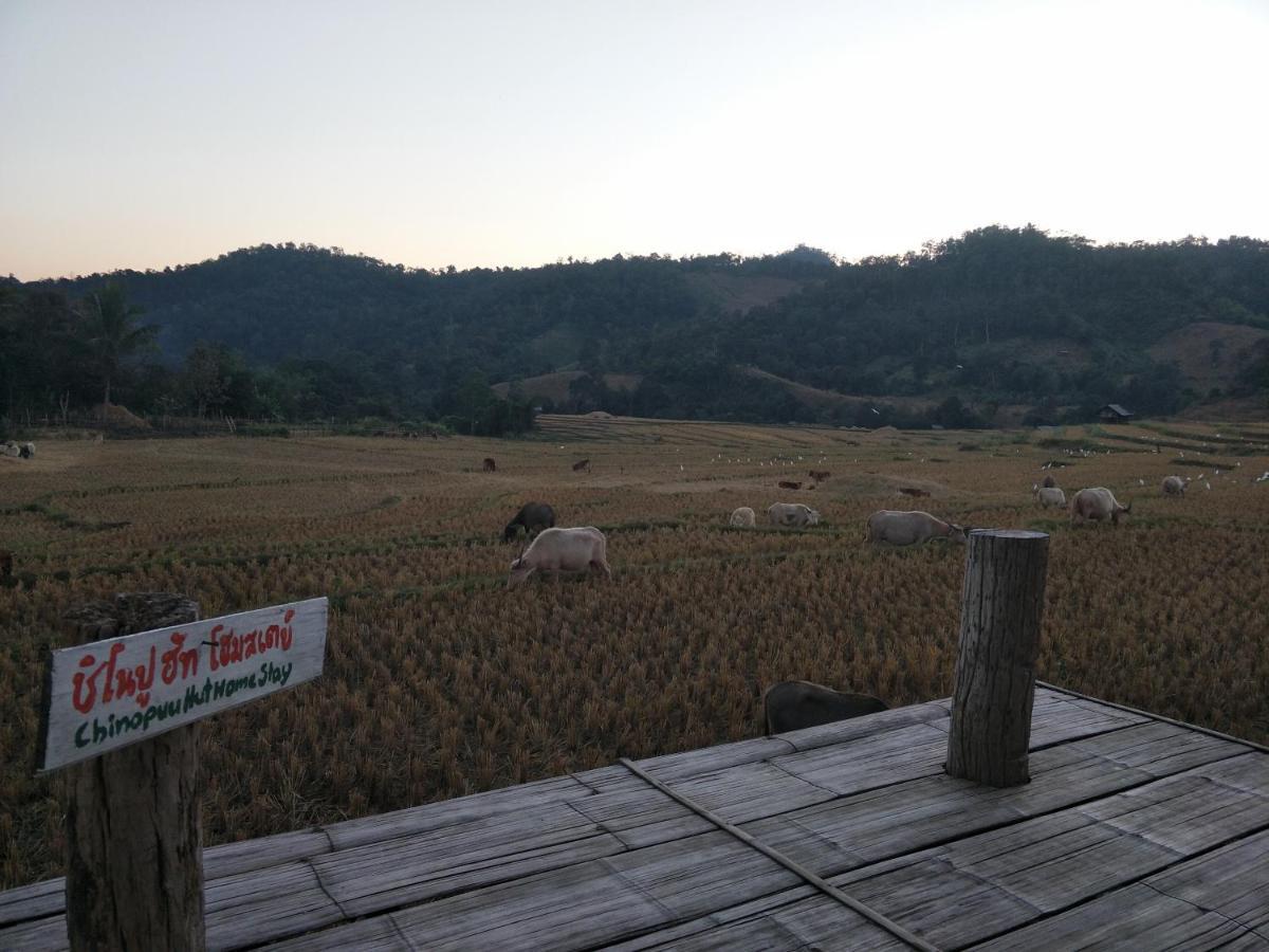 Chinopuu Hut Muangkong ชิโนปู ฮัท เมืองคอง เชียงดาว * Mueang Khong