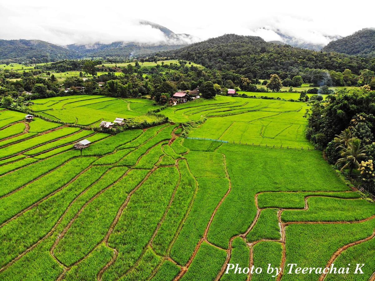 Chinopuu Hut Muangkong ชิโนปู ฮัท เมืองคอง เชียงดาว Alloggio in famiglia *