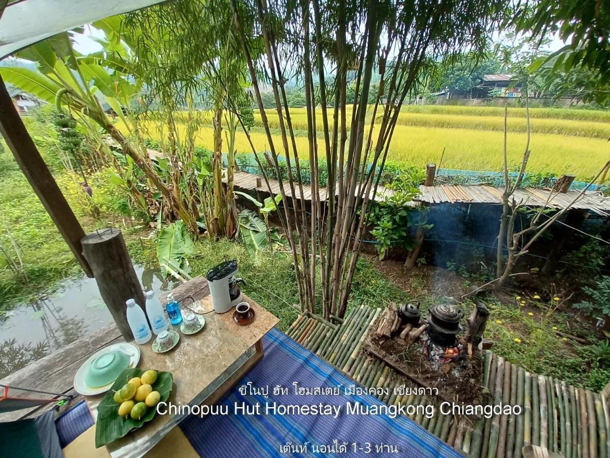 Alloggio in famiglia Chinopuu Hut Muangkong ชิโนปู ฮัท เมืองคอง เชียงดาว *